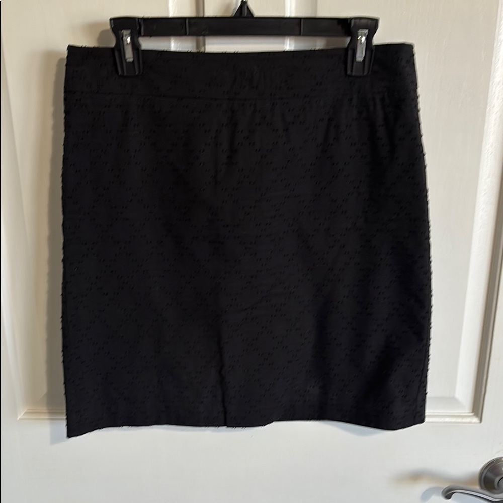 Elegant Black Women's Skirt